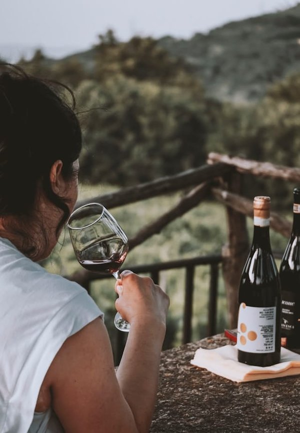 Comment planifier un voyage culinaire à travers l'Italie : fromages, pâtes et vins à ne pas manquer